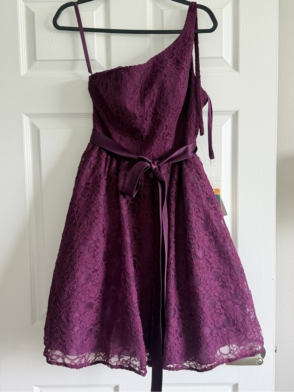 Mori Lee One-Shoulder Lace Fit & Flare Dress in Deep Plum